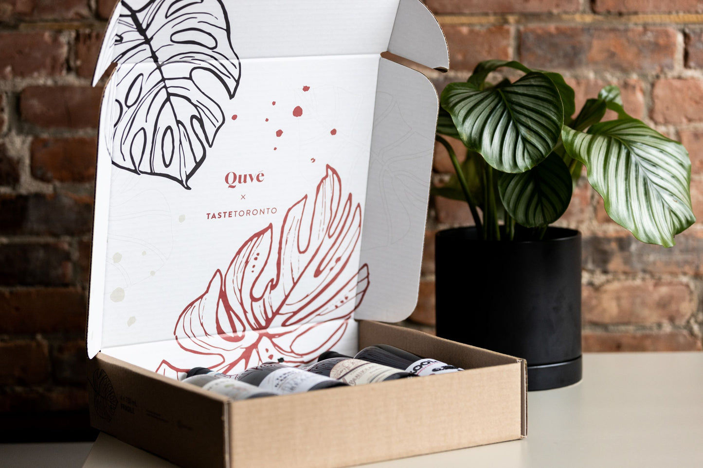 Quvé x TasteToronto Holiday Sampler (4pk)