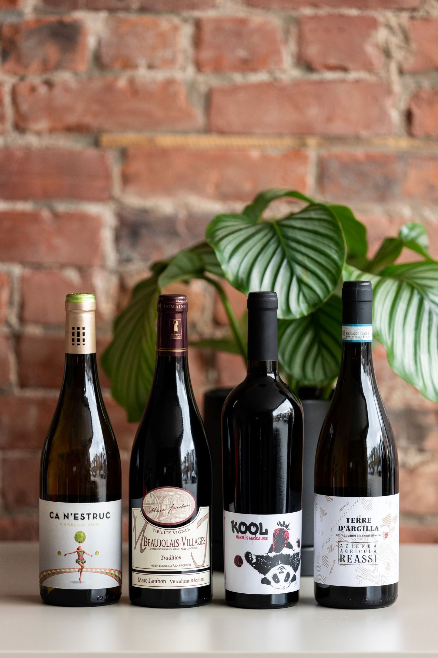 Quvé x TasteToronto Holiday Sampler (4pk)