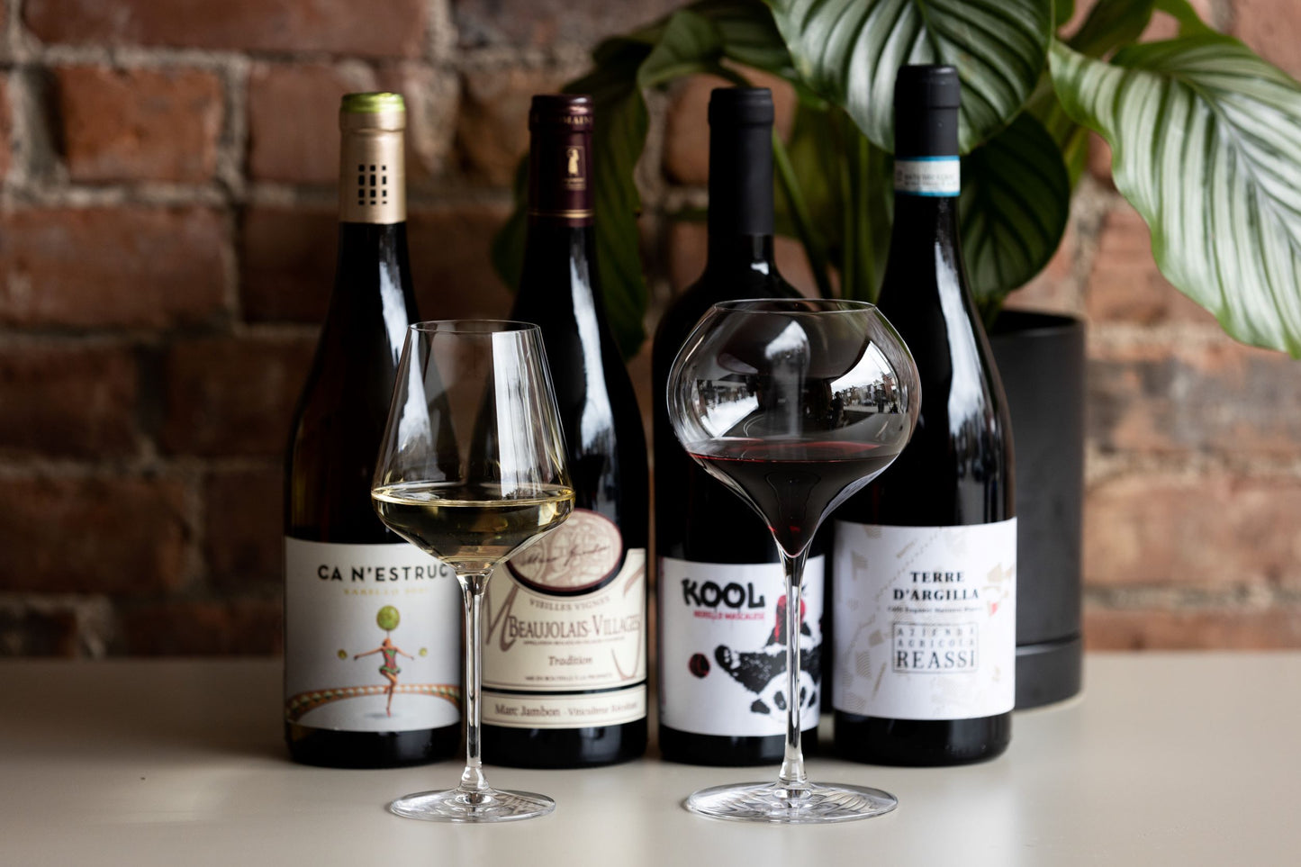 Quvé x TasteToronto Holiday Sampler (4pk)
