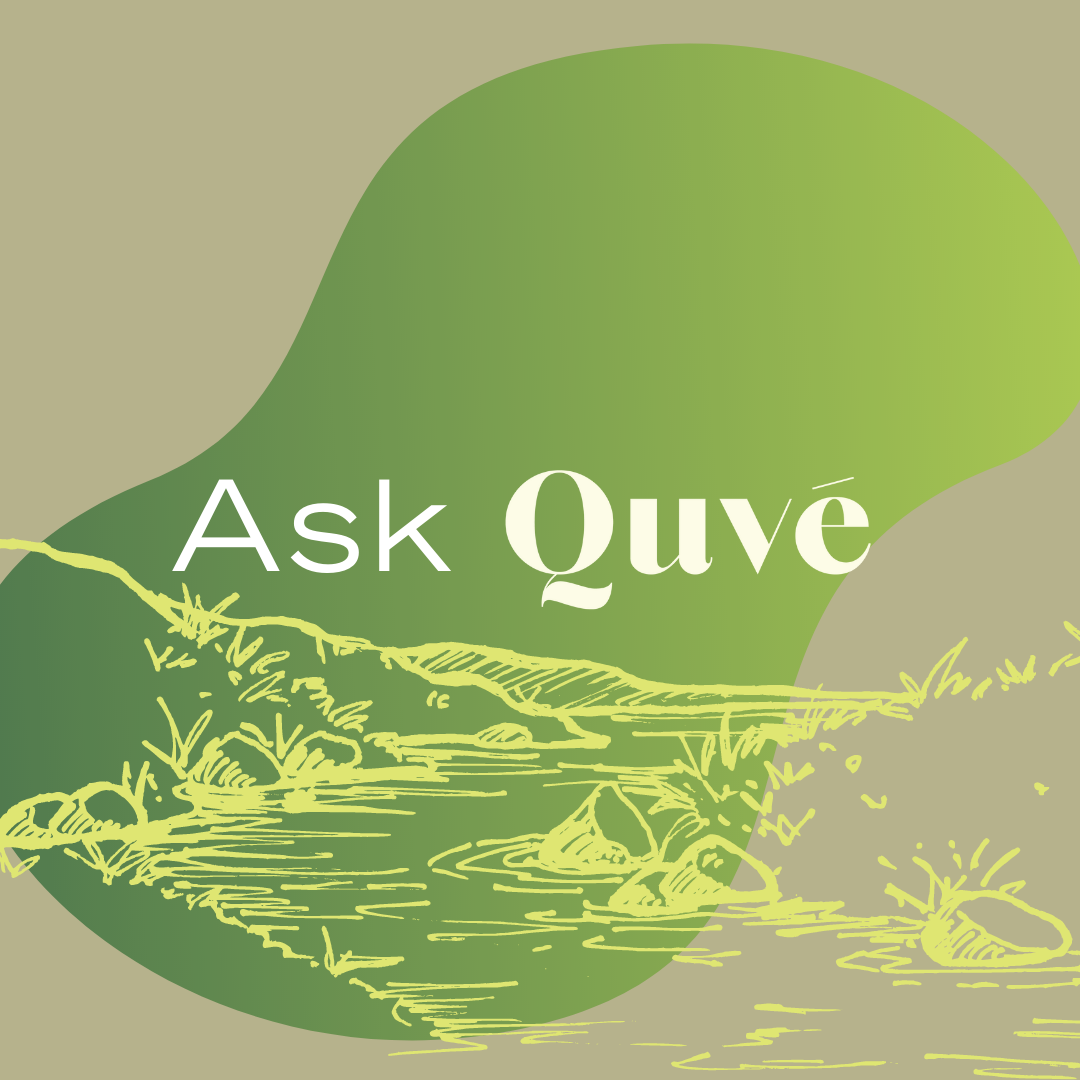 Ask Quvé: Unfined or Unleaded? Petrol-smelling wines