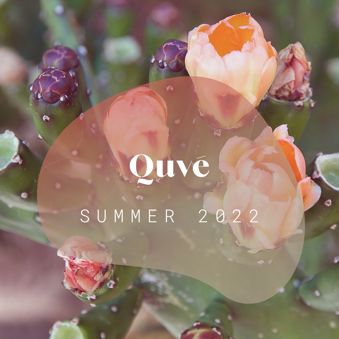 Summer 2022 playlist